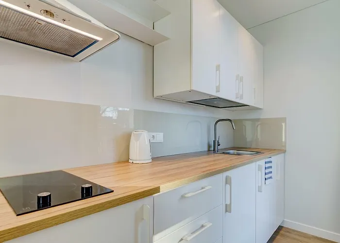 Center 10b Butas Vilnius